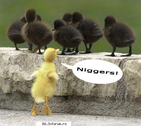 Welcome - noah...hai sa mai pun shi eu poze..:D - Poze