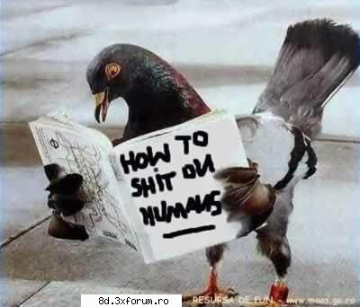 Welcome - noah..i wanna shit on some humans..:D - Poze